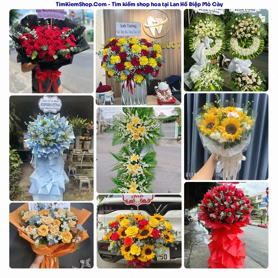 Tiệm Hoa Nhà Gạo - Tiệm Hoa Mỏ Cày