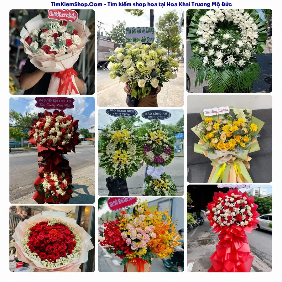 Tiệm Hoa Nhà Gạo - Tiệm Hoa Mộ Đức