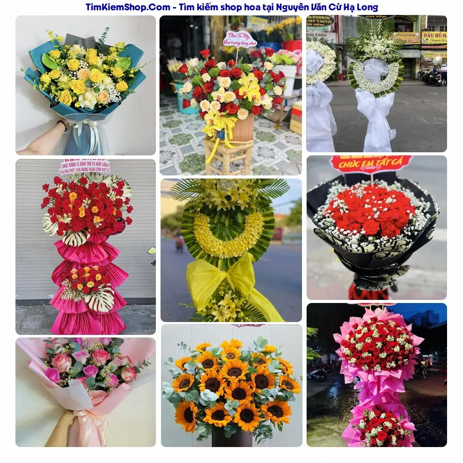 Tiệm Hoa Nhà Gạo - Tiệm Hoa Phường Hạ Long