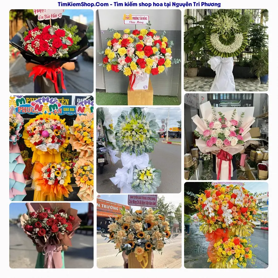 Tiệm Hoa Nhà Gạo - Tiệm Hoa Phường Lào Cai