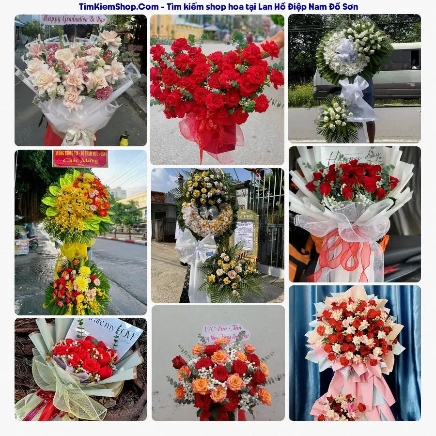 Tiệm Hoa Nhà Gạo - Tiệm Hoa Phường Nam Đồ Sơn