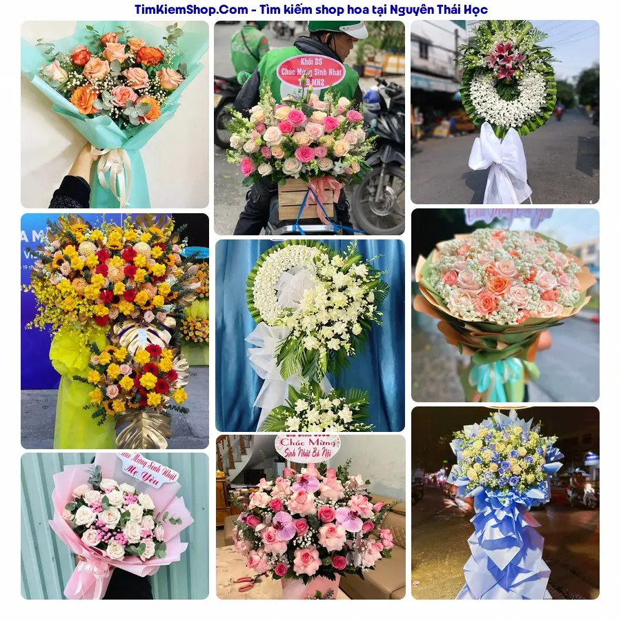 Tiệm Hoa Nhà Gạo - Tiệm Hoa Phường Quy Nhơn Nam