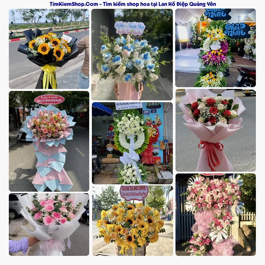 Tiệm Hoa Nhà Gạo - Tiệm Hoa Quảng Yên