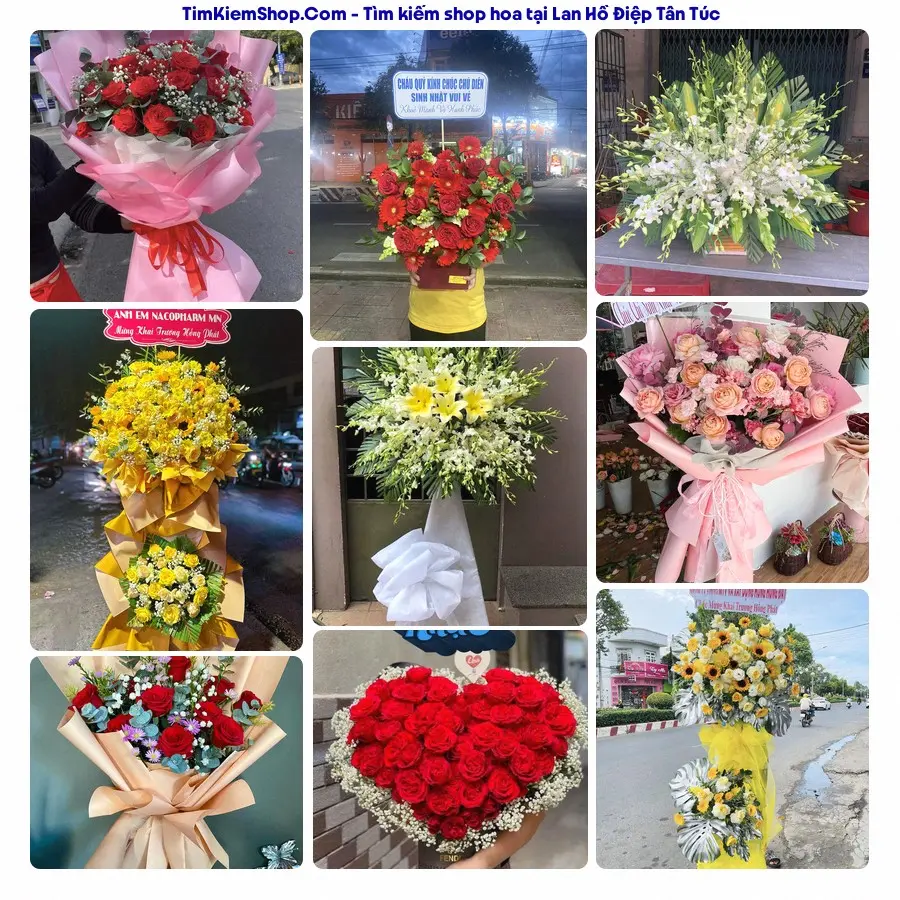 Tiệm Hoa Nhà Gạo - Tiệm Hoa Tân Túc
