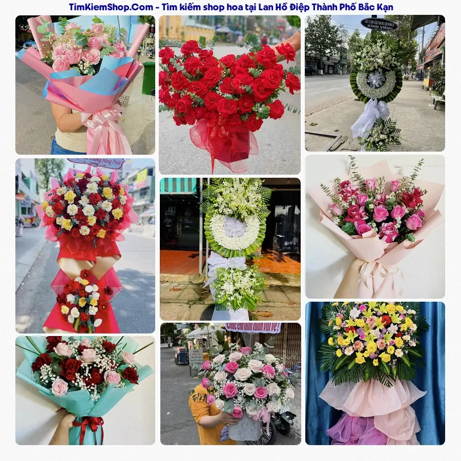 Tiệm Hoa Nhà Gạo - Tiệm Hoa Thành Phố Bắc Kạn