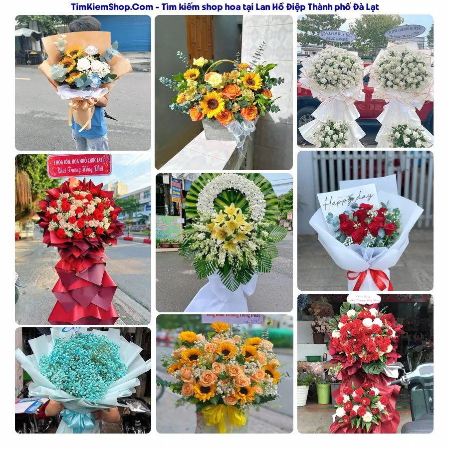 Tiệm Hoa Nhà Gạo - Tiệm Hoa Thành phố Đà Lạt