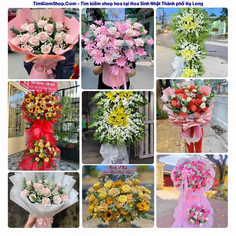 Tiệm Hoa Nhà Gạo - Tiệm Hoa Thành phố Hạ Long
