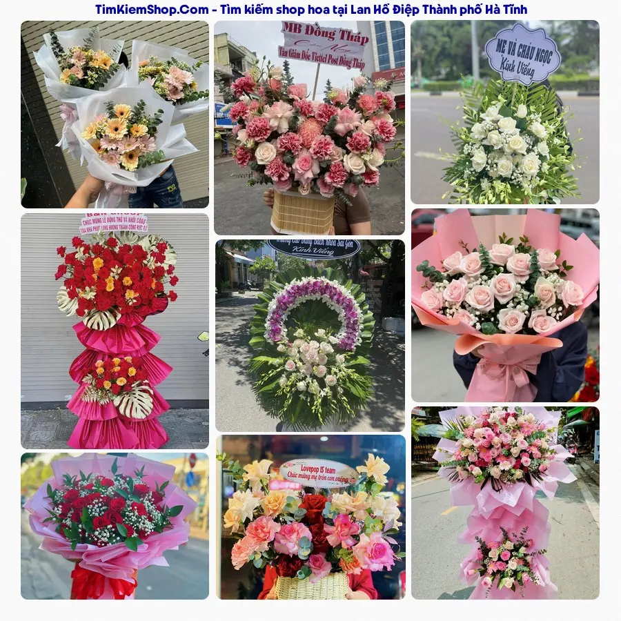 Tiệm Hoa Nhà Gạo - Tiệm Hoa Thành phố Hà Tĩnh