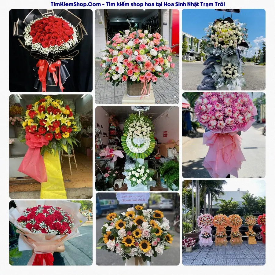 Tiệm Hoa Nhà Gạo - Tiệm Hoa Trạm Trôi