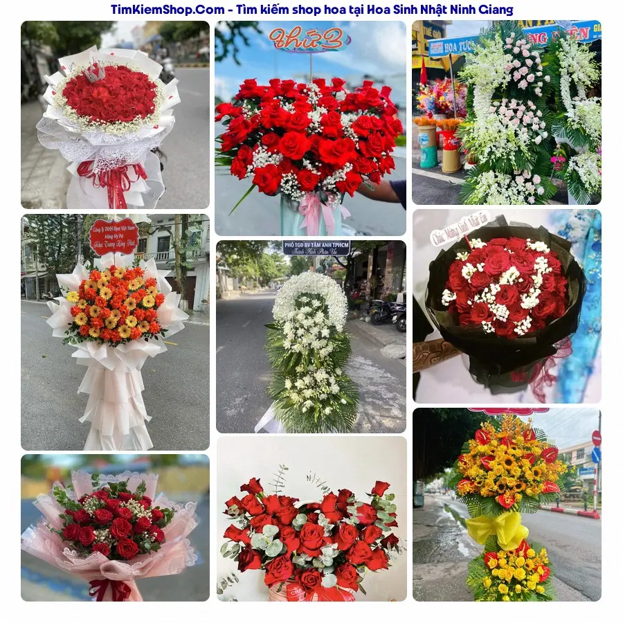 Tiệm Hoa Nhà Gạo - Tiệm Hoa Xã Ninh Giang