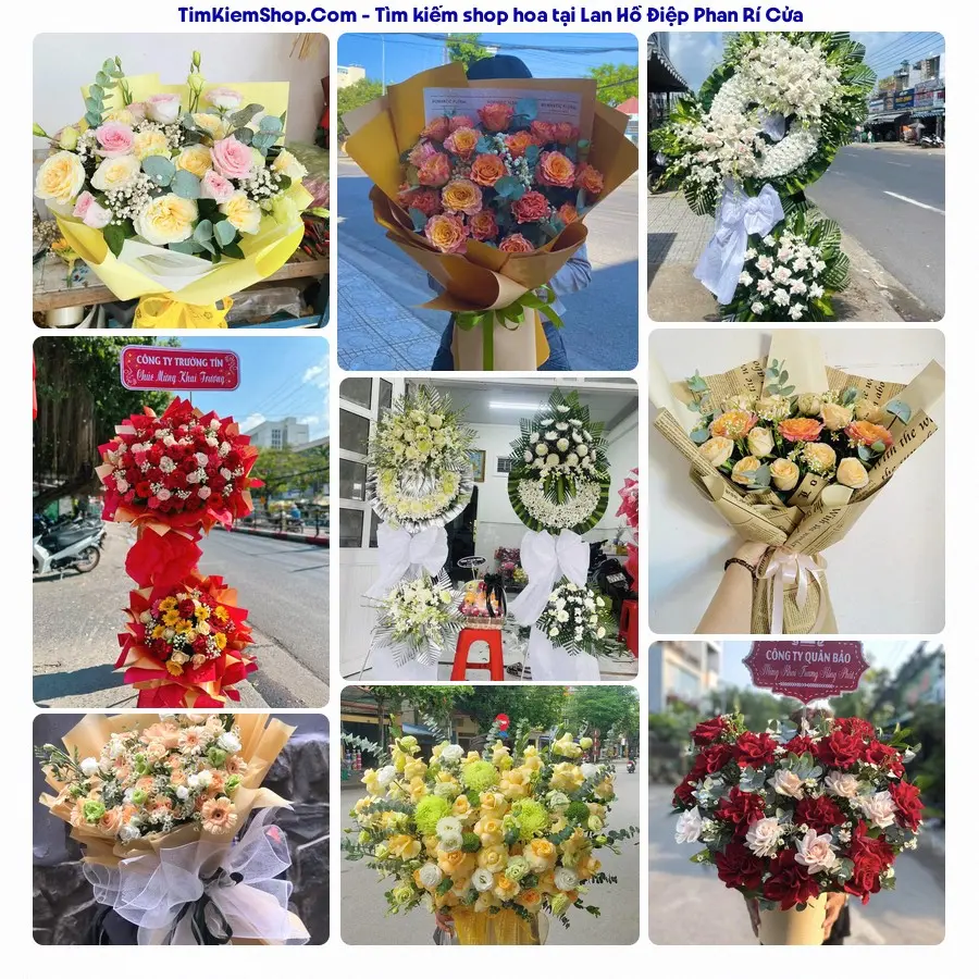 Tiệm Hoa Nhà Gạo - Tiệm Hoa Xã Phan Rí Cửa