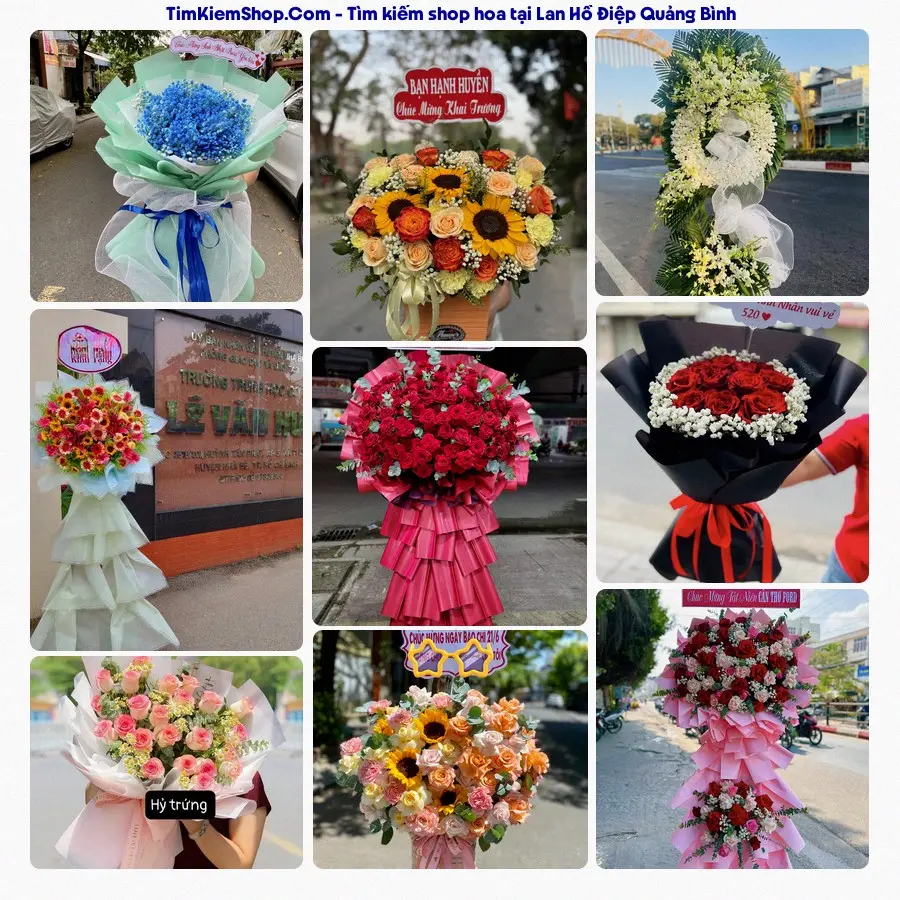 Tiệm Hoa Nhà Gạo - Tiệm Hoa Xã Quảng Bình