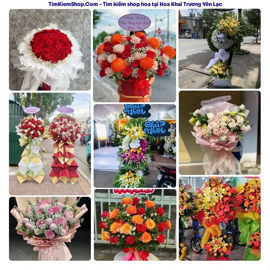 Tiệm Hoa Nhà Gạo - Tiệm Hoa Yên Lạc