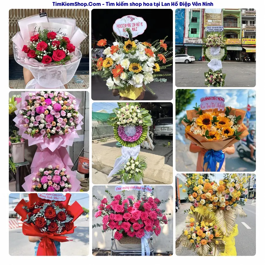 Tiệm Hoa Nhà Gạo - Tiệm Hoa Yên Ninh