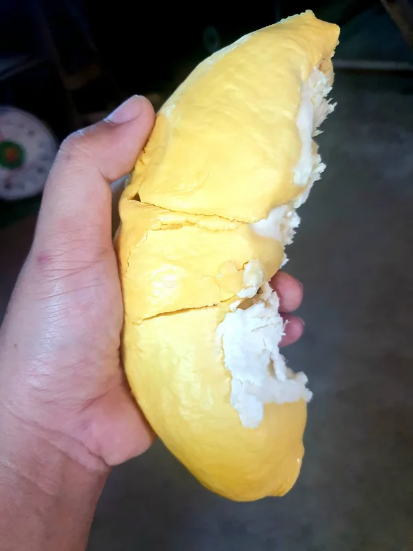 Sầu riêng Monthong