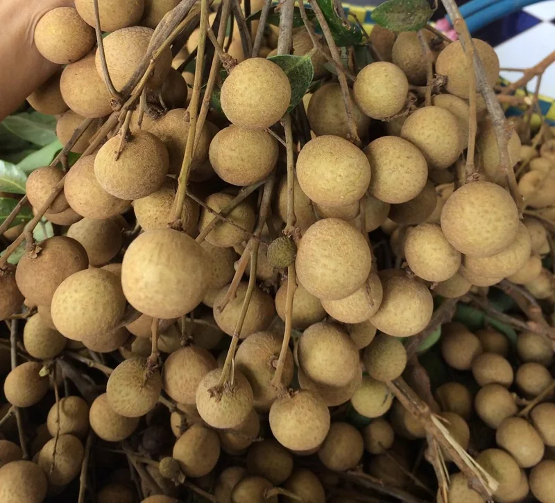 Nhãn Thạch Kiệt