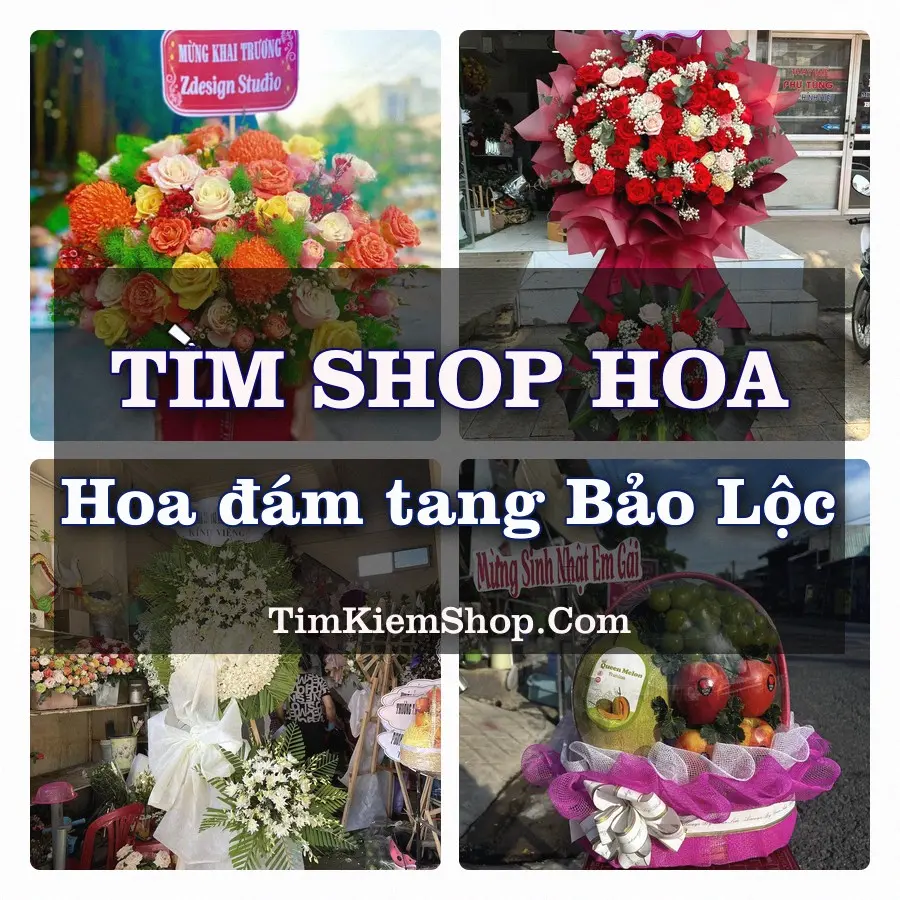 Tìm Shop Đặt Hoa Đám Tang Bảo Lộc