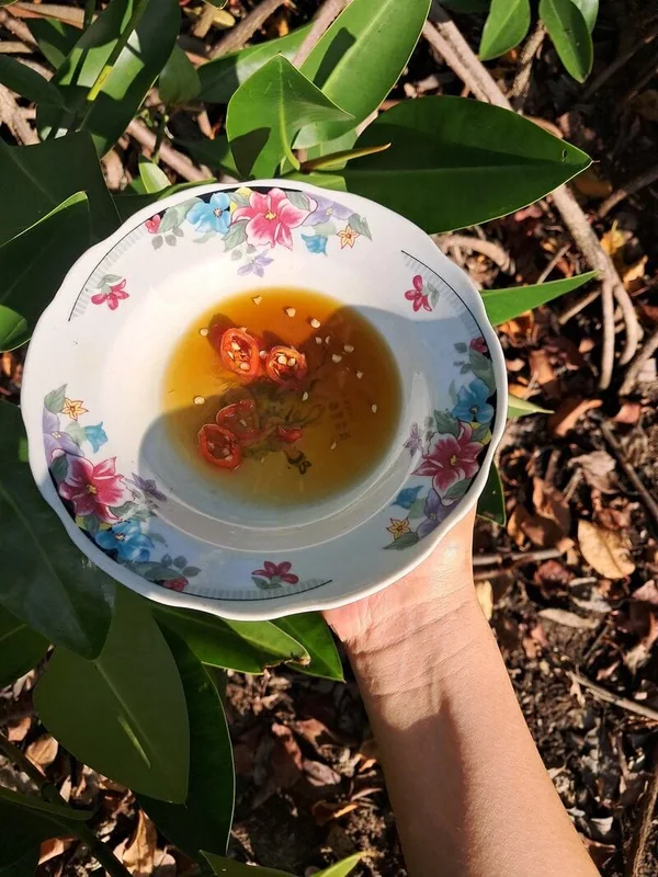 Nước mắm rươi Trà Vinh