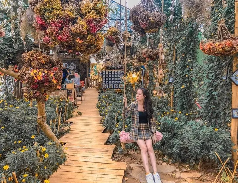 Triệu Đóa Hồng