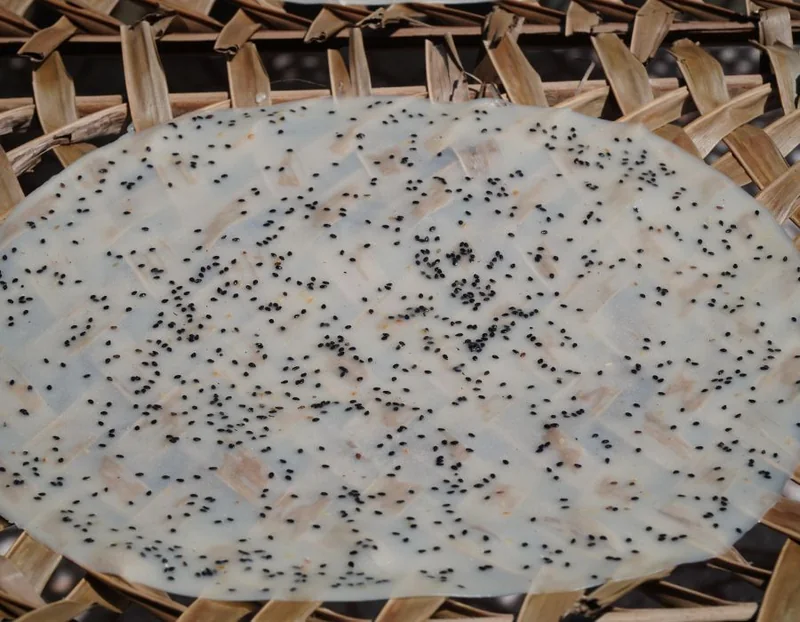 Bánh tráng nem Cù Lao Lục Sĩ