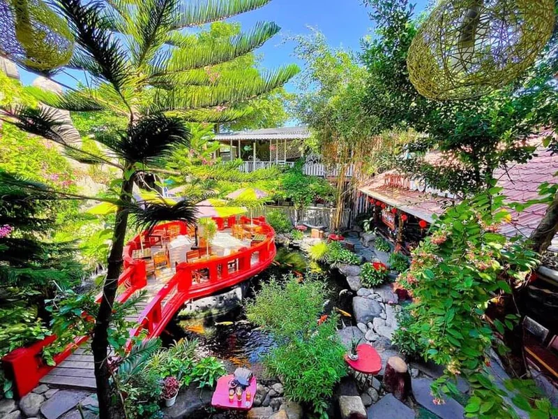 Robusta Koi Garden