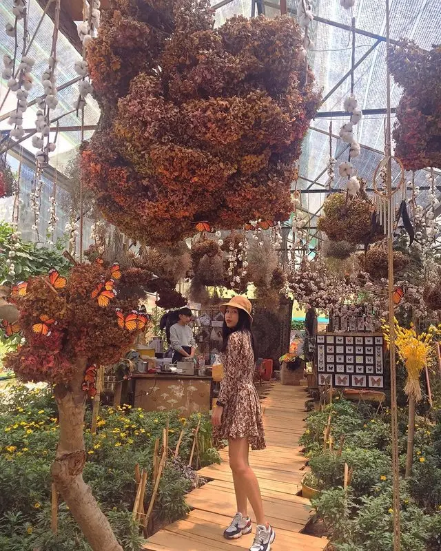 Xưởng kem hoa Đà Lạt